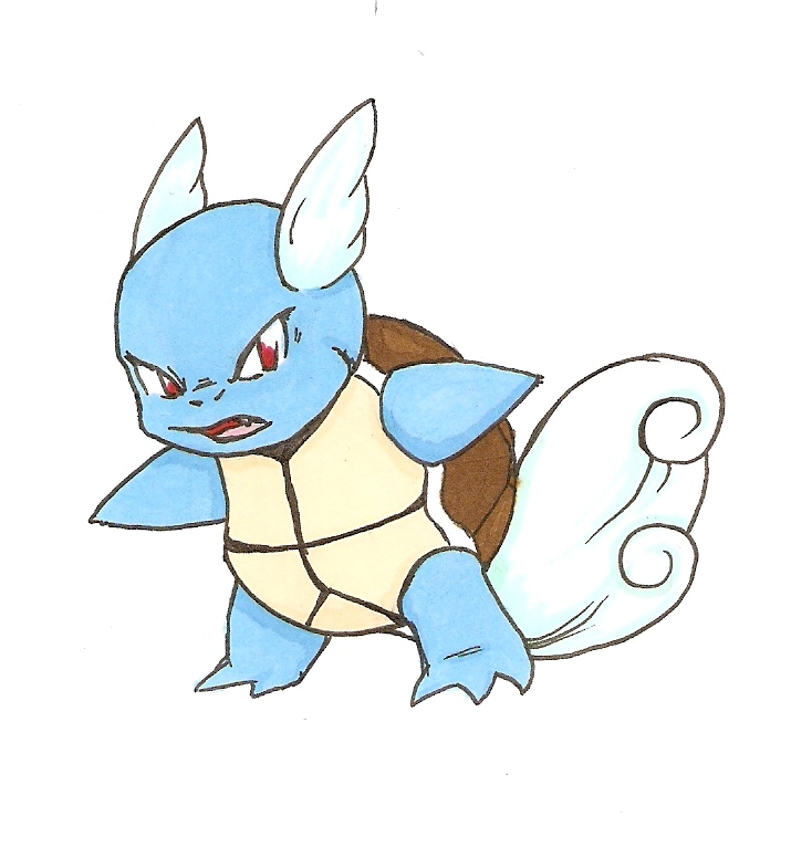 No.8 Wartortle