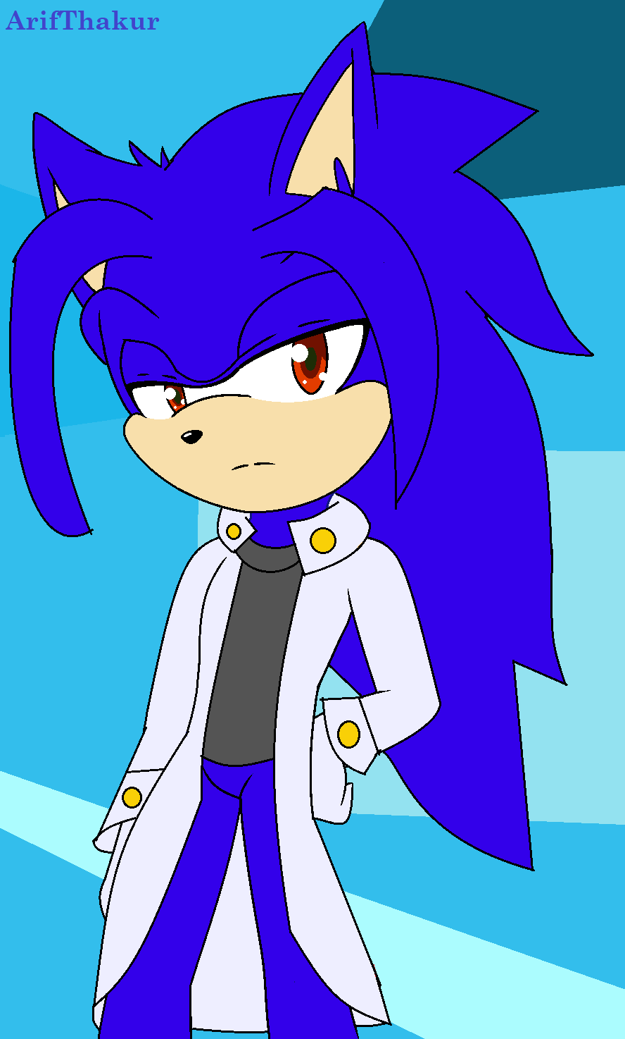 Blue the Hedgehog (Super Smash Flash) by ArifThakur on DeviantArt