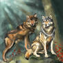 Wolf couple