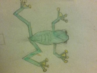 Flying Frog