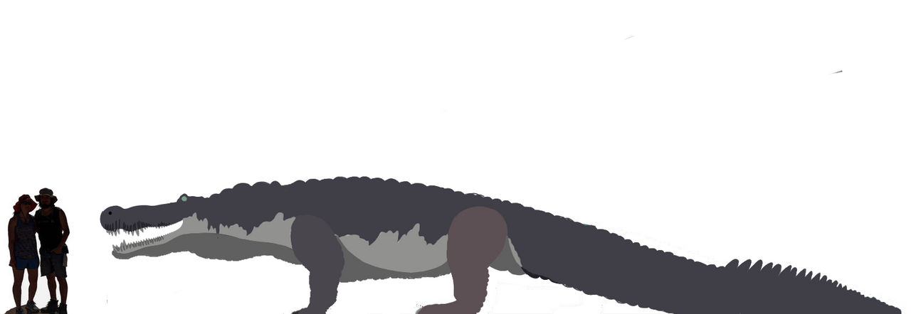 Deinosuchus rugosus size chart by Fadeno on DeviantArt