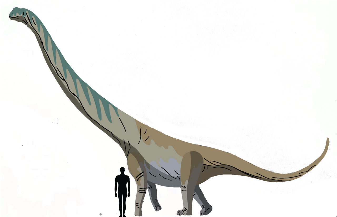Mamenchisaurus Youngi by slivereyes12 on DeviantArt