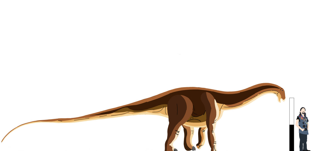 Lavocatisaurus Agrioensis By Slivereyes12 On DeviantArt lavocatisaurus-agrioensis-by-slivereyes12-on-deviantart