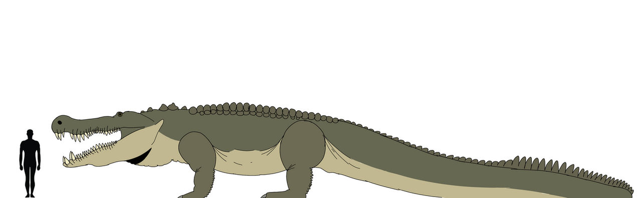 Deinosuchus Hatcheri By Slivereyes12 On DeviantArt deinosuchus-hatcheri-by-slivereyes12-on-deviantart