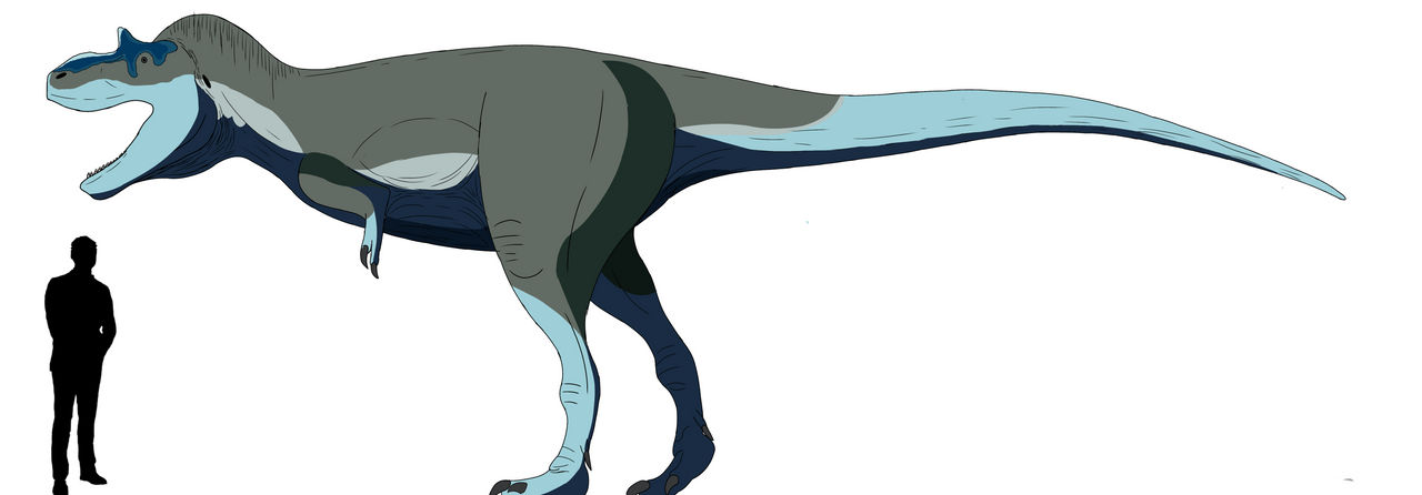 Gorgosaurus by slivereyes12 on DeviantArt