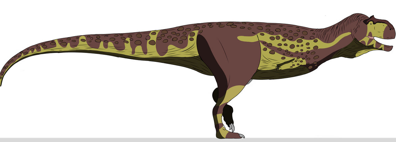 Rajasaurus by slivereyes12 on DeviantArt