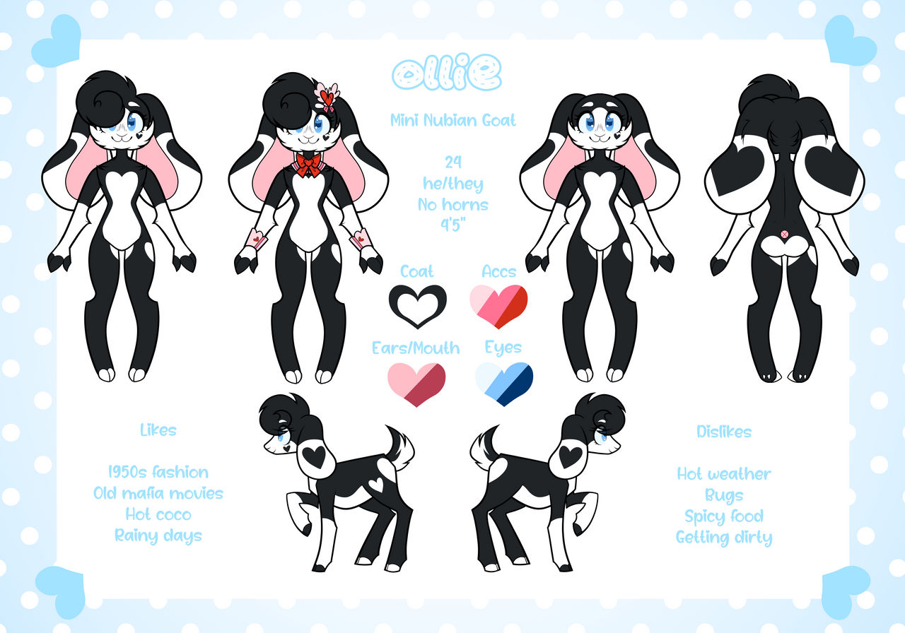 OC | Ollie Ref 2024