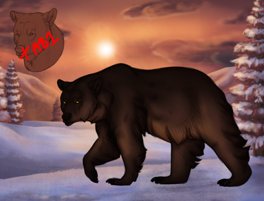 Bear Auction Adopt 1 [OPEN]