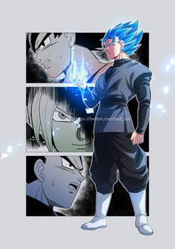 vegetto black