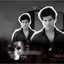 Walpaper Taylor Lautner