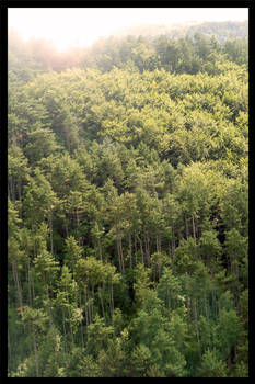 Slovak nature