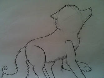 Wolf Drawing Thingy