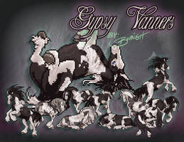 Gypsy Vanner Avatars