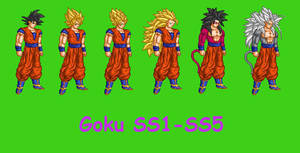 Goku SS1-SS5