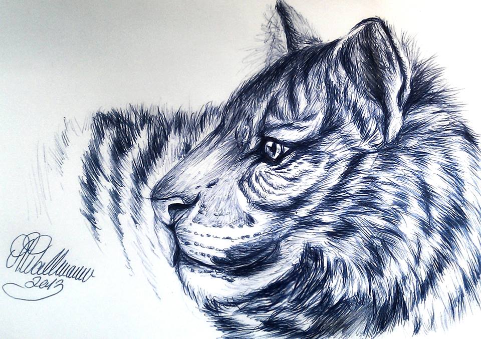 Tiger ball pen Art by AmeliesArtGallery on DeviantArt
