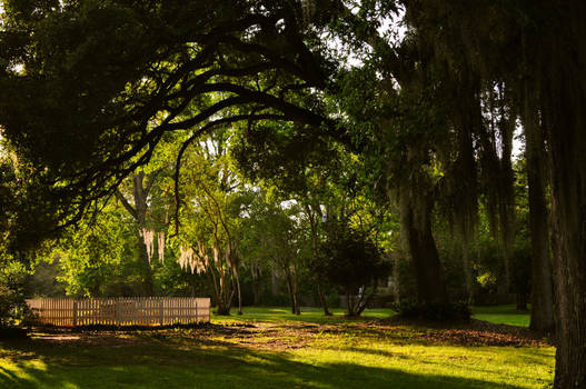 Myrtle's Plantation