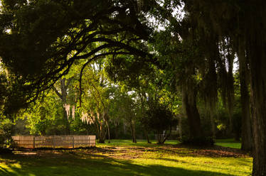 Myrtle's Plantation