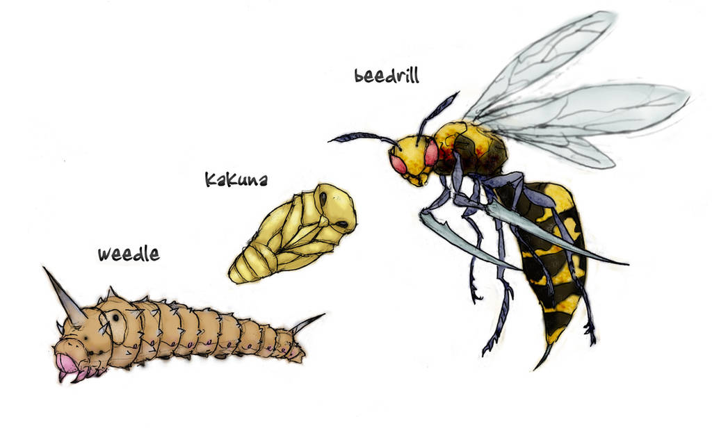 013 Weedle, 014 Kakuna, 015 Beedrill by RtRadke