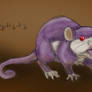 019 Rattata