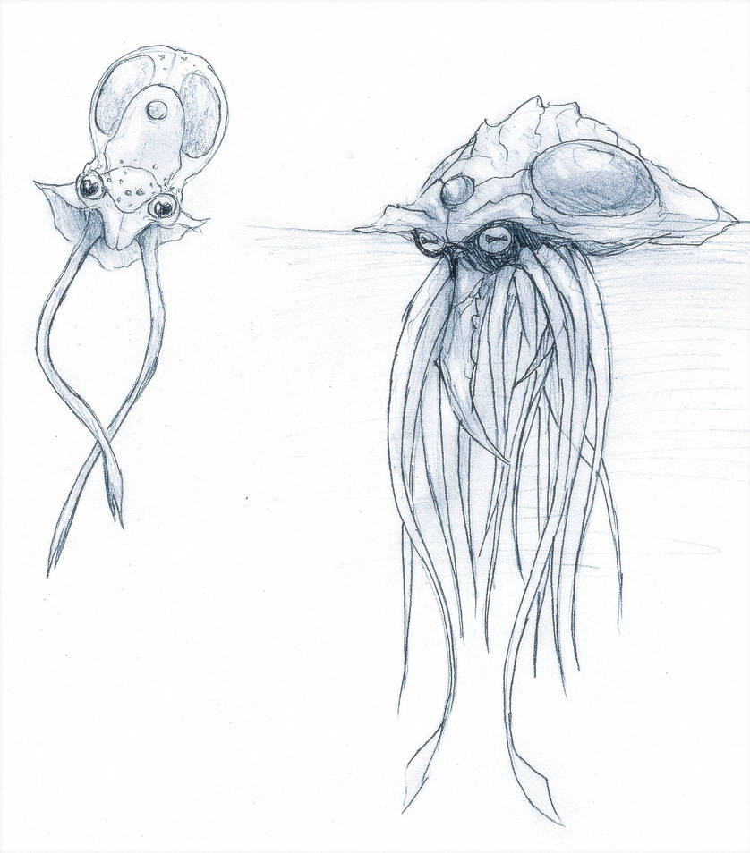 Tentacool and Tentacruel by RtRadke