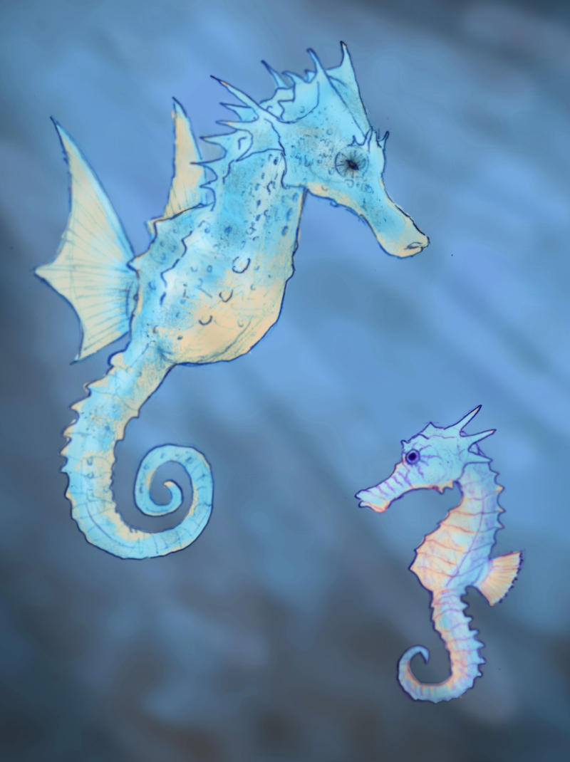 Horsea and Seadra