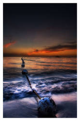 Buoys at Sunset