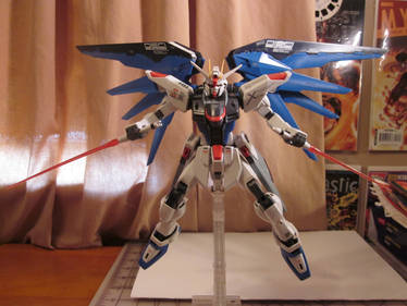 MG Freedom gundam