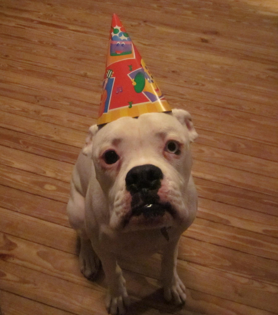 Rikers Birthday!