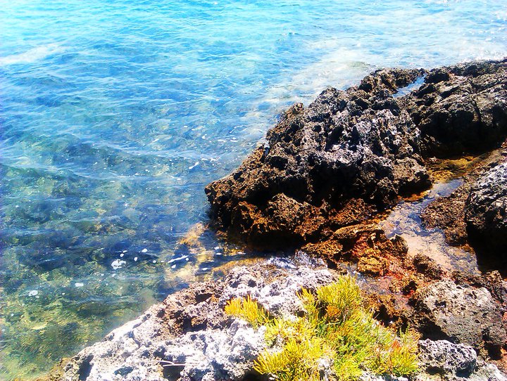 Sea and rocks