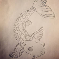 Koi fish