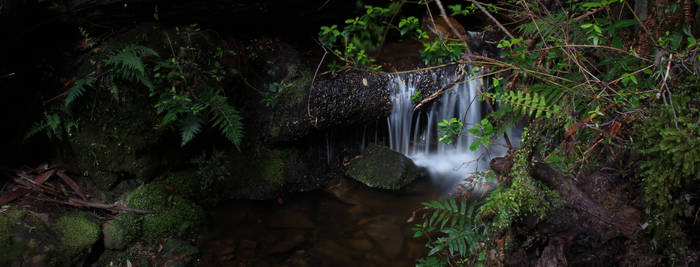 Mini rainforest waterfall