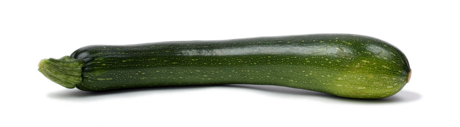 Zucchini