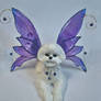 Bichon Frise Fairy