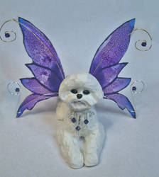 Bichon Frise Fairy