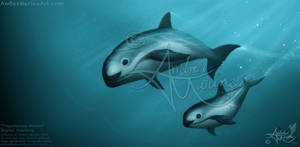 Treacherous Waters (2) - Vaquita Art, Amber Marine