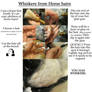 horse hair whiskers application