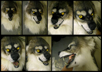 Personal Werewolf mask