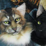 Tabby and Black cat masks together :)