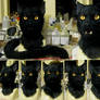 Black cat 2 Miasmamorbid!