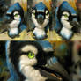 Bluejay with updated eyes!