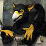 African Black Eagle gryphon partial