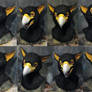 African Black eagle gryphon mask details!