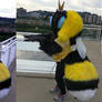 Honey bee costume