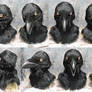Realistic raven (kenku) 3 of 4 FOR SALE