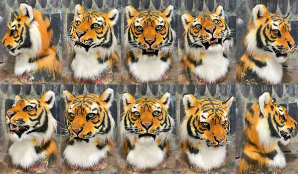 Tiger partial commission