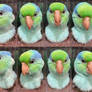 Parrotlet mask