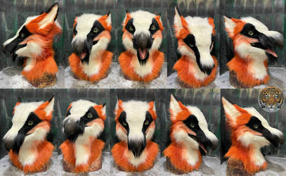 Choya bearded vulture gryphon mask