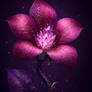 Eclipse Heart Flower