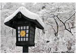 Snowy Lantern by billsabub