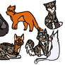 a bunch of warrior cats ships I ship